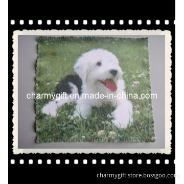 Glasses Cleaning Cloth-13